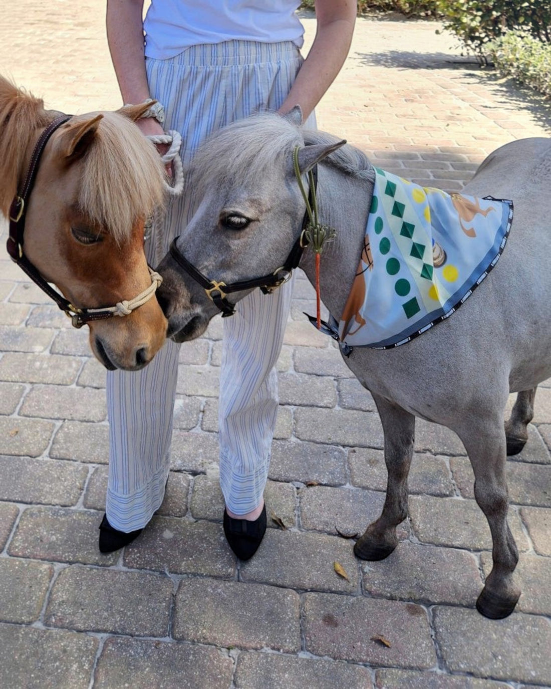 Weldun Jeu Des Petits Chevaux 65 silk twill scarf worn as a bandana on a miniature horse outdoors