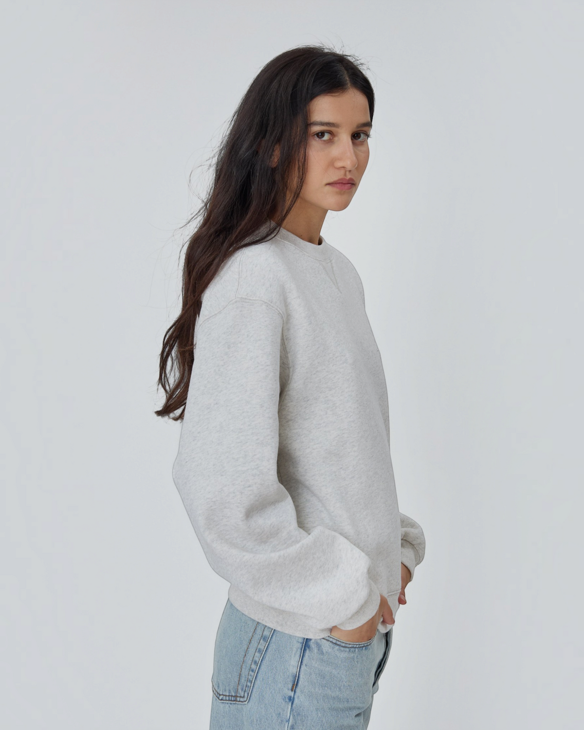 The Sweatshirt in Grey